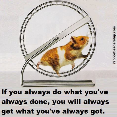 Hamster Wheel, Treadmill Workouts, Creative Life Quotes, Wheel Of Life, Cartoon Quotes, Career Change, Fitness Motivation Quotes, Good Life Quotes, Inspiring Quotes About Life