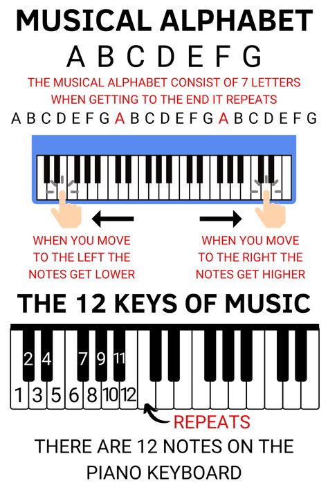 Learn the musical alphabet. The first 7 letters of the alphabet are used in music. In total there are 12 notes on the keyboard then it just repeats. Not that hard right? When moving up, the notes get higher and when you moving down, the notes get lower but they are still the same notes. Follow me for more! Teach Yourself Piano, Musical Alphabet, Music Alphabet, Keyboard Notes, Piano Music With Letters, Basic Music Theory, Beginner Piano Lessons, Music Basics, Music Theory Piano