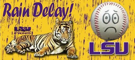 Lsu Tigers Baseball, Lsu Game, Geaux Tigers, Tigers Baseball, Lsu Tigers, Game Time, Mlb Baseball, Sports Fan, Tigers