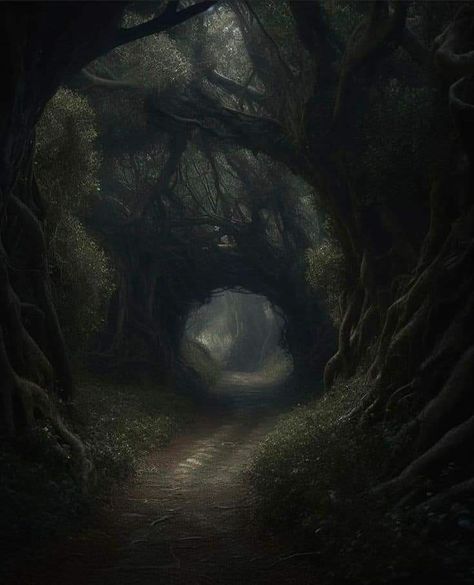 Fantasy Woods Aesthetic, Overstimulated Aesthetic, Moonlight Portrait, Dark Naturalism, Dark Forest Aesthetic, Forest Core, Dark Green Aesthetic, Dark Nature Aesthetic, Dark Cottagecore