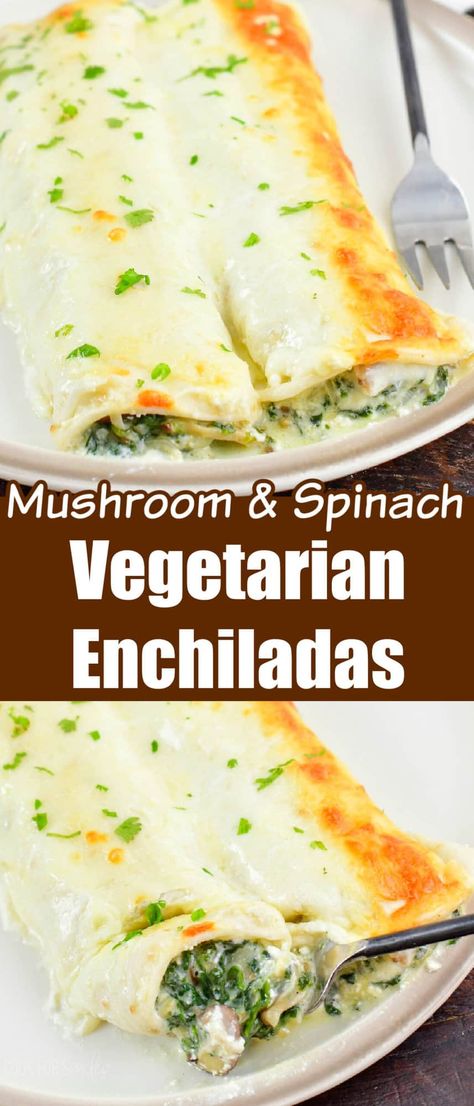 These Vegetarian Enchiladas are the ultimate comforting meatless meal. You will not miss the meat with these delicious, cheesy, creamy enchiladas. The filling is a simple mixture of spinach, mushrooms, shallots, and cheese all rolled into a soft tortilla and baked in a creamy sauce. Spinach Taquitos, Creamy Enchiladas, Mushroom Enchiladas, White Sauce Enchiladas, Creamy Enchilada, Veggie Enchiladas, Meals Without Meat, Spinach And Mushroom, Cheese All