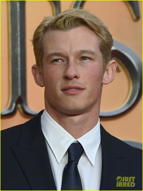 Blonde Callum Turner, Callum Turner Blonde, Ovulation Week, Fine Guys, Callum Turner, Celeb Crush, Women Aesthetic, Blonde Hair Looks, Newt