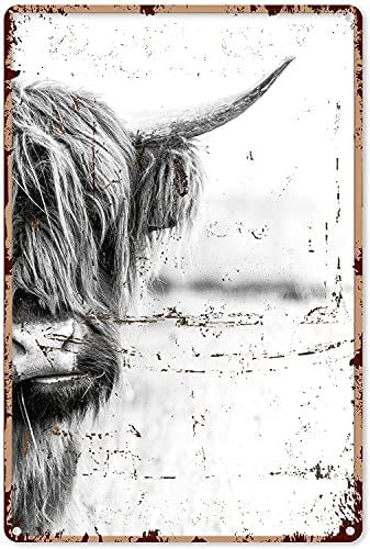 Highland Cow Screensaver, Rustic Cow Decor, Highland Cow Sublimation, Highland Cow Background Wallpapers, Highland Cow Bathroom Ideas, Highland Cow Pictures, Rustic Kitchen Wall Decor, Cow Wallpaper, Bathroom Wall Decor Art