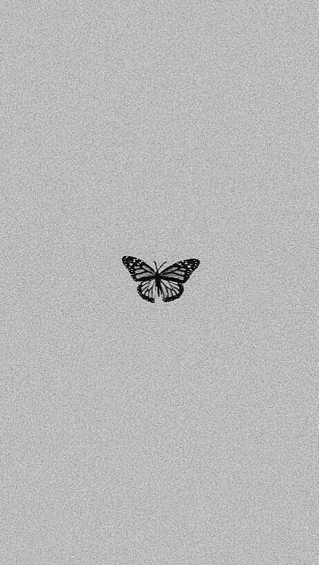 Grey Minimalist Wallpaper, Gray Butterfly, Black Hd Wallpaper, Note Doodles, Funny Cat Wallpaper, Goth Wallpaper, Insta Icon, Gray Aesthetic, Edgy Wallpaper