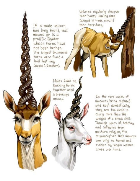 (99+) My take on unicorns! I'd really love to make a mythical creature field guide someday, since the Spiderwick Field Guide is what... – @lylahammar no Tumblr Most Dangerous Animals, Dangerous Animals, 3d Tattoos, Fantasy Beasts, Creature Drawings, Mythical Creature, Fantasy Creatures Art, Arte Sketchbook, Mythical Creatures Art