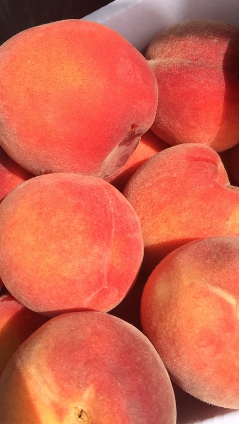 Peach Aesthetic, Peach Fruit, Orange Aesthetic, Just Peachy, Roald Dahl, Pretty Food, Aesthetic Food, Peaches, Summer Aesthetic