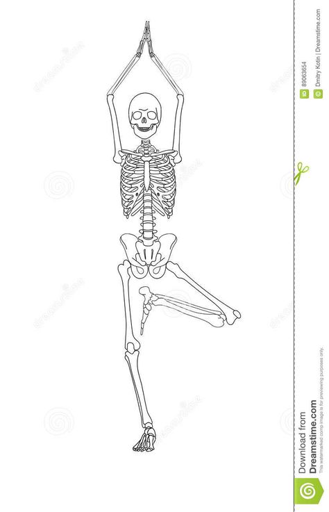 Illustration about Human skeleton in yoga position over white background. Illustration of ribs, digital, activity - 89063654 Skeletons Doing Yoga, Skeleton Doing Yoga Tattoo, Yoga Skeleton Tattoo, Tiny Skeleton Tattoo, Skeleton Line Art, Skeleton Ideas, Yoga Skeleton, Yoga Tree Pose, Yoga Drawing