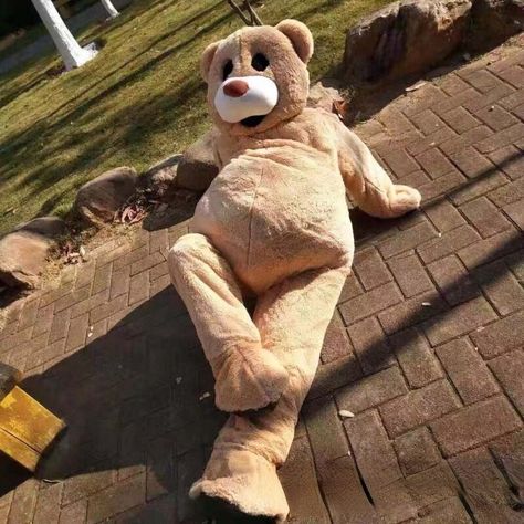 Teddy Bear Men, Teddy Bear Costume, Costumes Funny, Adult Valentines, Funny Cosplay, Bear Costume, Bear Man, Dancing Bears, Funny Costumes