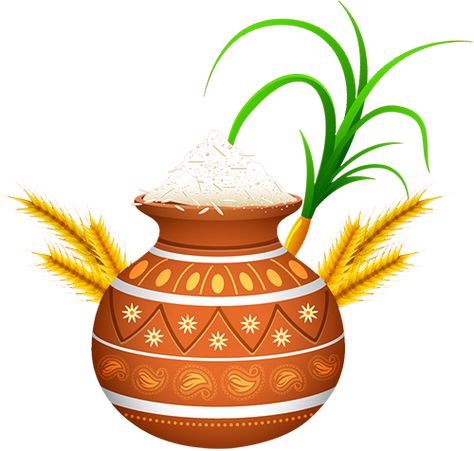 Pongal Festival Images, Kothu Parotta, Mutton Fry, Pongal Images, Lohri Celebration, Happy Pongal Wishes, Celebration Poster, Happy Pongal, Mutton Recipes