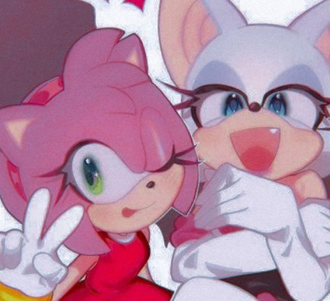 Rouge The Bat And Amy Rose, Rouge And Amy Rose, Amy And Rouge Fanart, Rouge And Amy Matching Pfp, Sonic Rouge Fanart, Amy And Rouge Matching Pfp, Amy X Rouge, Amy Rose And Rouge, Amy And Rouge