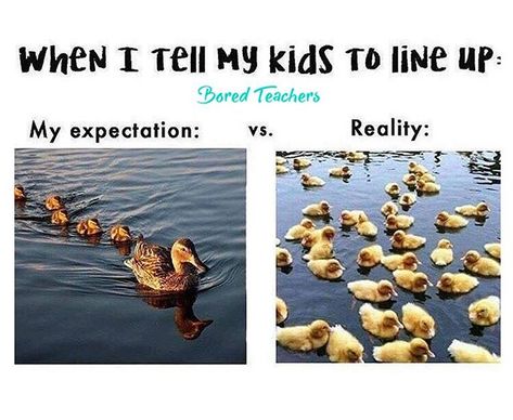 Reality stings. Teacher Humour, Teacher Memes Funny, Classroom Humor, Teaching Memes, Classroom Memes, Classroom Routines And Procedures, Teaching Humor, Bored Teachers, Teacher Problems