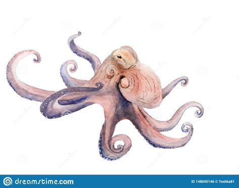 Watercolor Painting on the Marine Theme - Octopus Stock Photo - Image of water, aquarium: 148045146 Octopus Art Print, Purple Octopus, Octopus Drawing, Octopus Illustration, Octopus Painting, Octopus Tattoo Design, Favorite Paintings, Posca Art, Octopus Tattoo