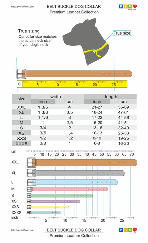 Dog Collar Size Chart, Diy Dog Collar, Paracord Dog Collars, Dog Clothes Patterns, Dog Items, Dog Obedience, Dog Training Obedience, Cat Clothes, Diy Dog Stuff