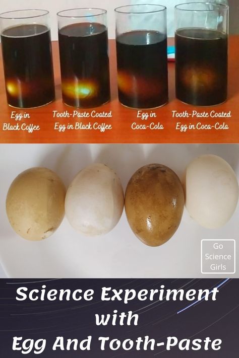 Egg and Toothpaste Experiment (Learn Importance of Brushing Your Teeth) Tooth Science Experiments, Dentist Science Experiment, Dental Health Science Experiment, Egg Experiments For Kids Dental Health, Science Experiments With Eggs, Egg Science Experiment For Kids, Egg Toothpaste Experiment, Egg And Toothpaste Experiment, Teeth Brushing Activities