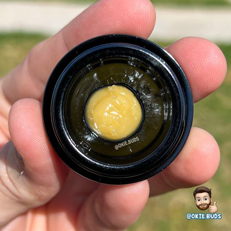 🍯 Banana Foster Live Hash Rosin 🧬 Banana Kush x OG Kush 👨‍🌾 @nexleafok 👨‍🔬 @livesourcelabs 🏥 @nexleafsouthokc . Don’t let Banana Foster’s name fool you. Her nose isn’t nearly as fruity as the name would suggest. She definitely leans more towards the OG Kush parent & that’s made apparent instantly after popping the jar open. An intense wave of sharp pine comes barreling out but the backend is where a creamy, banana aroma mixes in to mellow out the sharp, pungent introduction. The backend l Banana Foster, Og Kush, Bananas Foster, Jar Opener, The Fool, The Fosters, Barrel, Let It Be