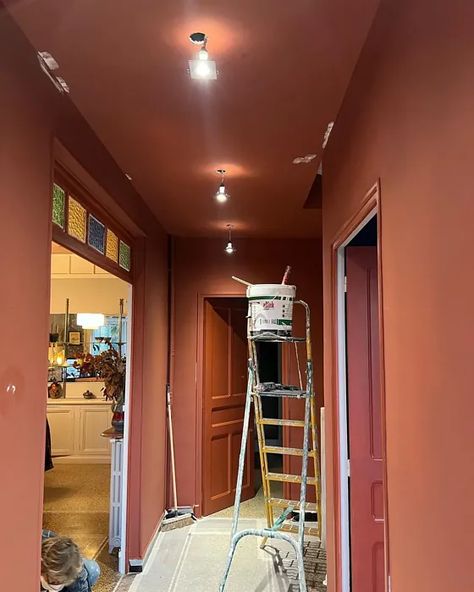 Farrow And Ball Earth Red, Red Panelling, Colored Hallway, Red Entrance Hall, Farrow And Ball Picture Gallery Red, Color Hallway, Rust Hallway, Etruscan Red Farrow And Ball, Painting My Ceiling