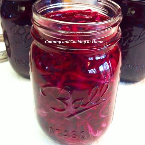 Cowgirl Relish - You thought Cowboy Candy was good! - SBCanning.com - homemade canning recipes Pickled Red Cabbage Canning, Canned Pickled Red Cabbage, Canning Pickled Red Cabbage Recipe, Canning Pickled Cabbage Recipe, Canning Cabbage Rolls, Canning Red Cabbage Recipes, Pickled Cabbage Canning, Canning Red Cabbage, Preserving Cabbage