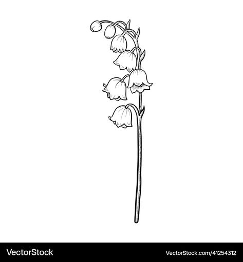 Lily Of The Valley Flower Drawing, Drawing Lily Of The Valley, Lily Of The Valley Drawing, Valley Drawing, Lily Valley, Lily Of Valley, Hair Stenciling, Lily Of The Valley Flowers, Flower Outline