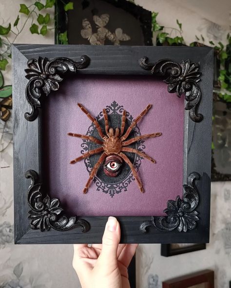 Bird Eating, Tarantula Spider, Insect Taxidermy, Insect Art, Gothic House, Taxidermy, Dark Art, Shadow Box, Insects