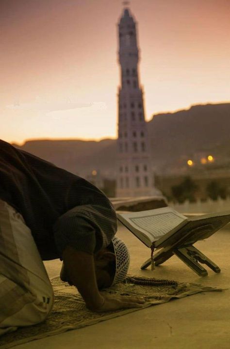 prière et lecture du coran Namaz Sajda Pics, Prayer Wallpaper, Salat Prayer, Mecca Masjid, Islamic Wallpaper Hd, Muslim Pictures, Karbala Photography, Love In Islam, Islamic Quotes Wallpaper