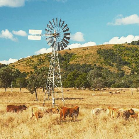 Australian Countryside, Australian Scenery, Cattle Station, Modern Art Artists, Outback Queensland, Australian Landscapes, Rural Photography, Australian Country, Australian Farm