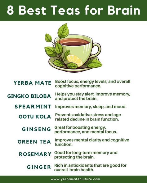 Herbal Tea For Energy, Barley Tea Benefits, Healing Tea Recipes, Books And Tea, Tea Blends Recipes, Herbal Education, Best Herbal Tea, Medical Herbs, Healing Tea