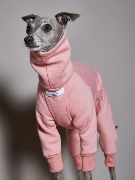 SWEATERS Turtleneck Jumpsuit, Dog Jacket Patterns, Italian Greyhound Clothes, Pink Turtleneck, Whippet Dog, Yorkie Dogs, Dog Projects, Pet Fashion, Dog Gear