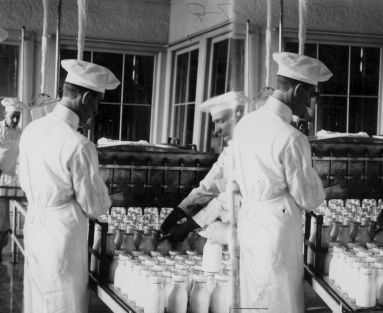 History of pasteurization process Pasteurized Milk, Boiled Cabbage, Dairy Industry, Science History, Tartaric Acid, Pasteurizing Milk, History Of Science, Milk Cans, April 20