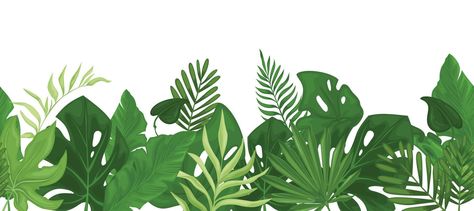 Malaysia Culture, Safari Birthday Party Decorations, Leaf Clipart, Safari Birthday Party, Leaf Border, Leaves Vector, Safari Birthday, Flower Care, Classroom Design