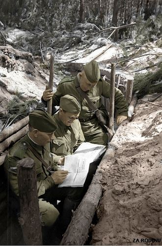 Soviet soldiers in the trenches ww2 Operation Barbarossa 1941, Operation Barbarossa, Germany Ww2, Ww2 Photos, German Soldiers Ww2, Wwii Photos, Red Army, German Army, On The Ground