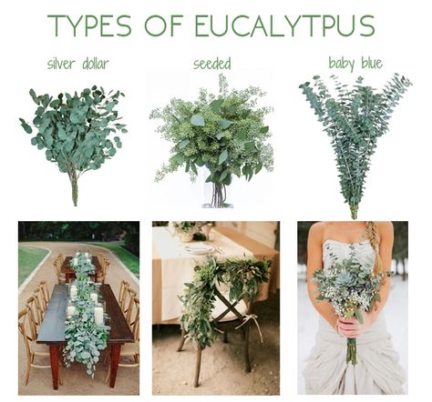 I don't know if I'll use this but eucalyptus is just so pretty... Tafel Decor, Flowers And Greenery, Eucalyptus Wedding, Deco Floral, Greenery Wedding, Types Of Flowers, Ever After, Wedding Centerpieces, Future Wedding