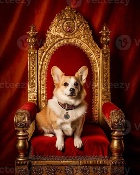 corgi dog in the royal palace AI generated Royal Palace, Vector Drawing, Corgi Dog, Free Stock Photos, Palace, Royalty, Royalty Free, Royalty Free Stock Photos, Stock Photos