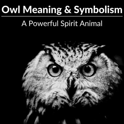 Owl Meaning and Symbolism: A Powerful Spirit Animal - Full Guide 2021 Owl Meaning Spiritual, Owl Spirit Animal Meaning, Owl Spirit Animal Art, Owl Meaning, Animal Tattoo Meanings, Owl Tattoo Meaning, Owl Symbolism, Cute Owl Tattoo, Spirit Animal Meaning