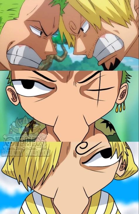 Zoro Vs Sanji, Memes One Piece, One Piece Theme, Memes No, رورونوا زورو, One Piece Photos, One Piece Cartoon, One Piece Meme, One Piece Crew