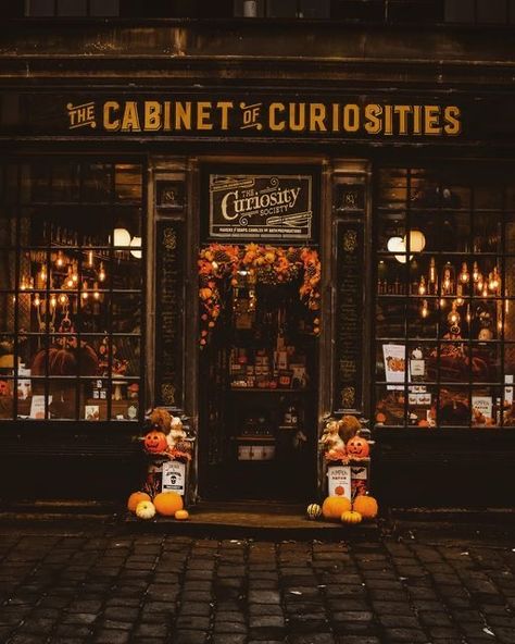 The Cabinet Of Curiosities, Victorian Shop Aesthetic, Cabinet Of Curiosities Art, Oddity Shop Aesthetic, Oddities Shop Aesthetic, Dark Academia Shop, Cabinets Of Curiosities, Witchcraft Shop Aesthetic, Antique Shop Aesthetic Dark