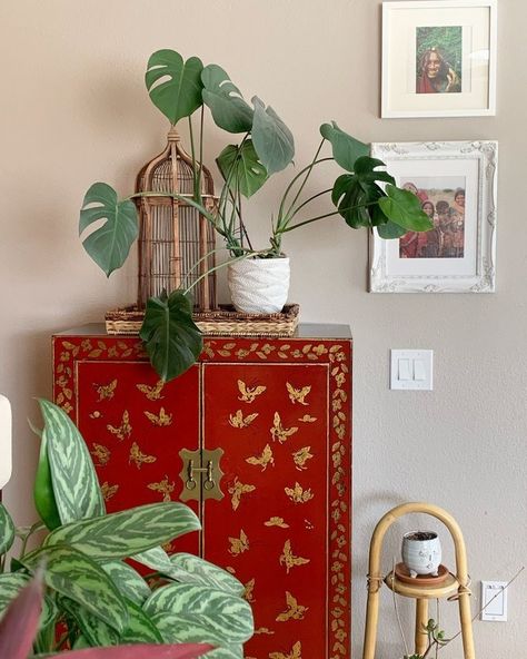 Red And Green House Decor, Red And Green Bedroom Aesthetic, Red And Green Room Aesthetic, Green Bedroom With Plants, Green Red Living Room, Green And Red Bedroom, Green And Red Living Room, Red And Green Living Room, Red And Green Bedroom