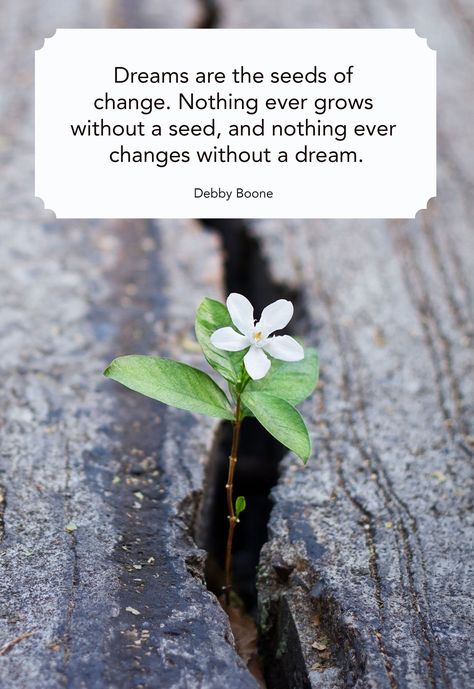 Debby Boonecountryliving Plants Quotes Life Inspiration, Change Quotes Positive, Life Quotes Wallpaper, Quotes About Change, Plants Quotes, Garden Quotes, Life Changing Quotes, Dream Quotes, Flower Quotes