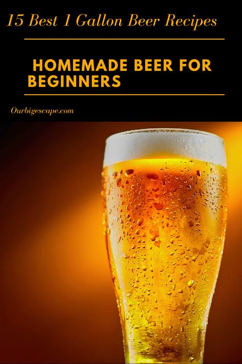 Beer Brewing Recipes - You’ve already impressed your friends with your homebrew – now impress them with your knowledge about 1 Gallon Beer Recipes! Warning: Any sharing of these random beer facts at non-beer related events may cause you to be labeled a “beer geek.” Read on with caution! Home Beer Brewing, Brewing Beer At Home, How To Brew Beer, How To Make Beer At Home, Lemon Beer, Beer Recipes Homebrew, Popular Alcoholic Drinks, Craft Beer Recipes, Beer Facts