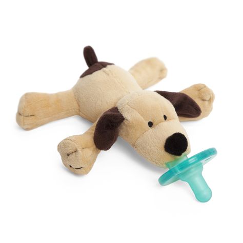 brown-puppy2 Cute Brown Puppy, Wubbanub Pacifier, Teething Stages, Brown Puppy, Brown Puppies, Grey Kitten, Tabby Kitten, Baby Unicorn, Puppy Gifts