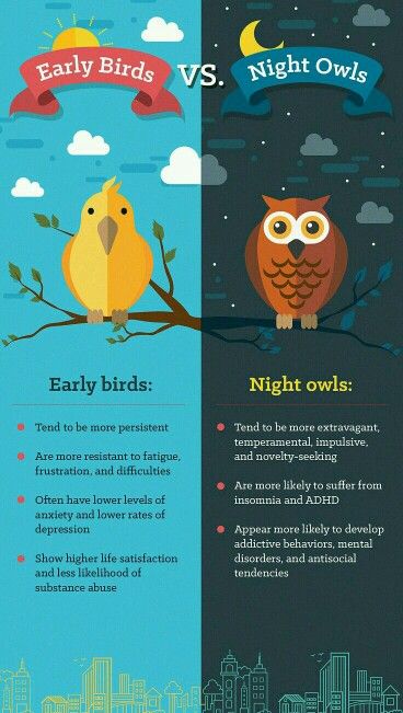 Early birds vs. Night owls. So this is why I'm a night owl... Sleep Inertia, Owl School, Owl Facts, Night Person, In A Perfect World, Stages Of Sleep, Bird Quotes, Night Owls, Life Satisfaction