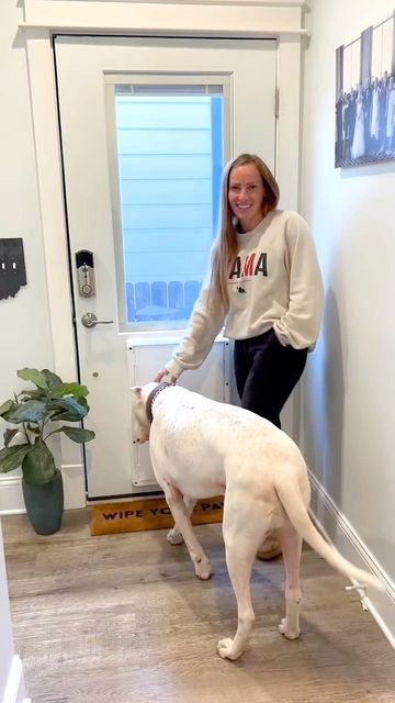 Two Chicks and a Hammer 🐥🐥🔨 | Home Design & Renovation on Instagram: "Never in a million years did I think there was a dog door big enough for Frank, but @stevesdoors really came through! This 1/2-Lite Exterior Door has internal blinds for privacy, and a pet door cover, so you can slide the cover in to close it easily when away from home. Available in a wide range of sizes for pets as small as cats, to as large as Frank, this door will make pet parenthood that much easier, and allow your pets Two Chicks And A Hammer, Pet Door, Door Cover, Dog Door, Exterior Door, Pet Parent, Exterior Doors, Curb Appeal, Dog Mom