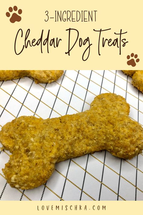 Cheddar Dog Treats, 3 Ingredient Dog Treats, Lou Dog, Dog Cookie Recipes, Pet Treats Recipes, Easy Dog Treat Recipes, Dog Treats Homemade Easy, Frozen Dog Treats, Dog Biscuit Recipes