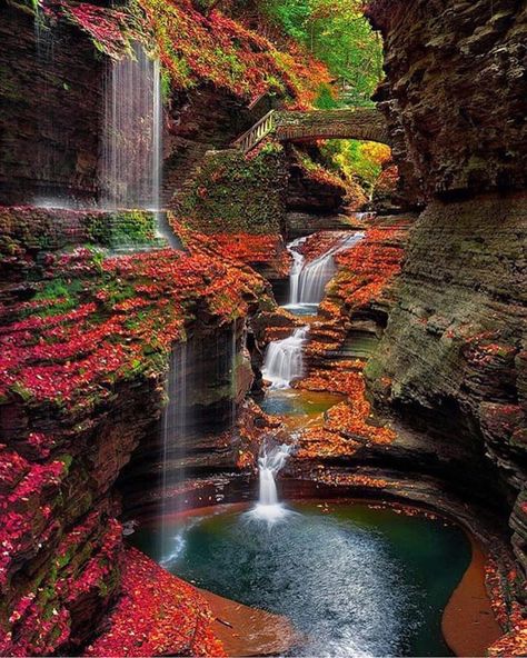 Watkins Glen New York :@backcountrygallery Tag your travel buddies by earthimage Watkins Glen State Park, Rainbow Falls, Watkins Glen, Waterfall Photography, Beautiful Waterfalls, Beautiful Places To Visit, Fall Foliage, Fall Leaves, Nature Travel