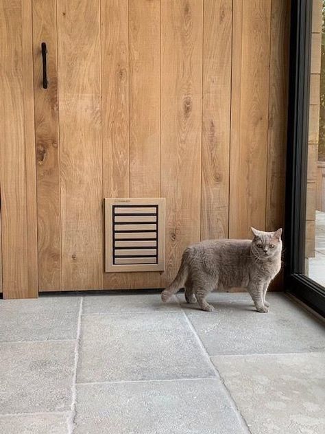 Cat Door Outside, Pet Door Ideas, Cat Door Ideas, Dog Door Ideas, Large Dog Door, Kitty Door, Quiet Cat, Chat Diy, Kat Diy