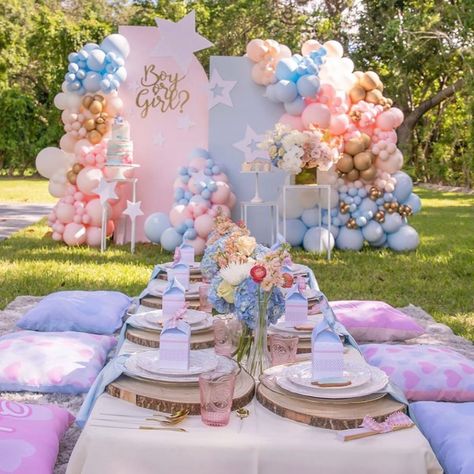 Outdoor Gender Reveal, Gender Reveal Picnic, Best Gender Reveal, Simple Gender Reveal, Baby Gender Reveal Party Decorations, Idee Babyshower, Gender Reveal Party Theme, Gender Reveal Themes, Gender Reveal Ideas