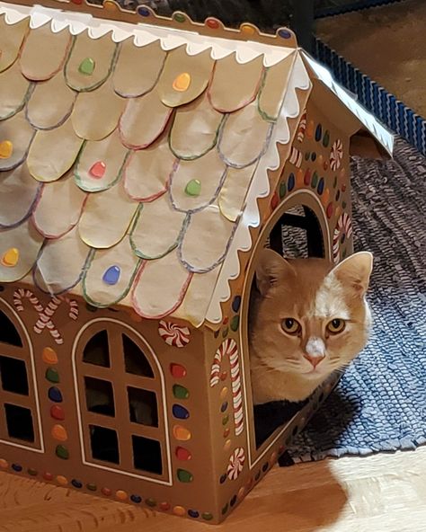 This handsome man is Chester. Chester, I love what your people did with the place! . Chester's meowmy, @barbdougan, writes: . "Doesn't every cat need a gingerbread house for the holidays? Yes, of course they do! This very clever house comes with a set of stickers, but my cat Chester and I are both over-achievers. So we ordered an extra set of stickers and then I got out my scissors (cat isn't allowed to play with sharp objects), glue, crayons and a brown paper bag to add the shingles. Awesom... Gingerbread Cat House, Cat Gingerbread House, Gingerbread Cat, Box Toys, Brown Paper Bag, Sharp Objects, Handsome Man, Brown Paper, My Cat