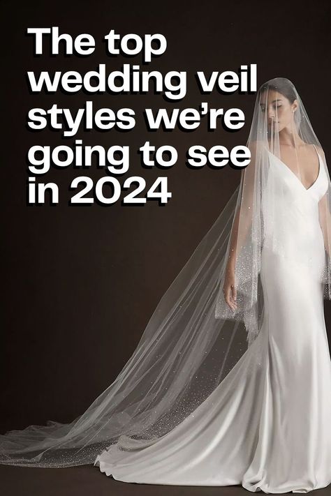 Top wedding veil trends for 2024 weddings Bridal Blusher Veil, Veil Diy How To Make, Veil Types Style, Different Wedding Veil Styles, Vail With Hair Down, Types Of Wedding Veil Styles, Two Tier Veil Cathedral, Wedding Veils Ideas, Hair Down With Cathedral Veil