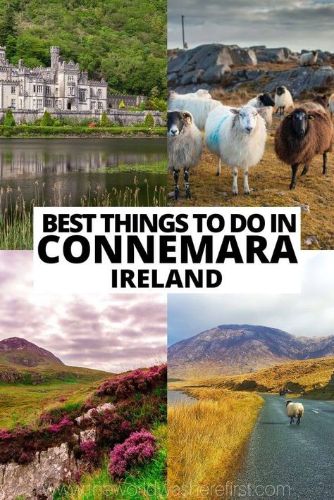 Conamara Ireland, Ireland Connemara, Ireland Travel Tips, Ireland Packing List, Things To Do In Ireland, Connemara Ireland, Ireland Honeymoon, Ireland Aesthetic, Ireland History