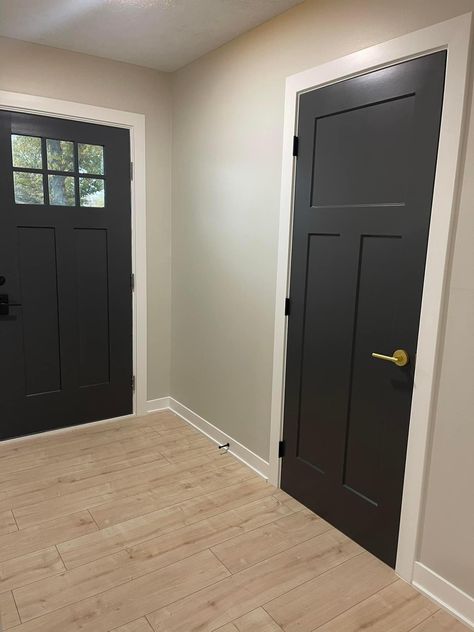 Dark Interior Doors And Trim, 3 Panel Interior Doors, Dark Interior Doors, Hippie Farmhouse, Dark Doors, Interior Door Trim, Black Interior Doors, White Inspiration, Panel Interior Doors