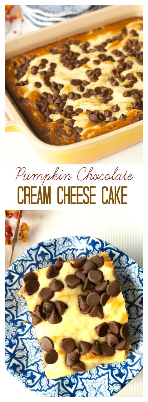 Pumpkin Chocolate Cream Cheese Cake for easy holiday entertaining Chocolate Cream Cheese Cake, Pumpkin Cake With Cream Cheese, Cake With Cream Cheese Filling, Cheese Pumpkin, Pumpkin Cream Cheeses, Chocolate Cream Cheese, Sweet Recipes Desserts, Pumpkin Chocolate Chips, Soften Cream Cheese